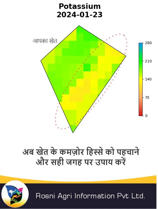 A real Dhara advisory sheet for potassium, dated 23 January 2024: one field drawn as a grid of coloured 10 by 10 metre squares, with the weaker band outlined, above a Hindi instruction to treat the weak part of the field.