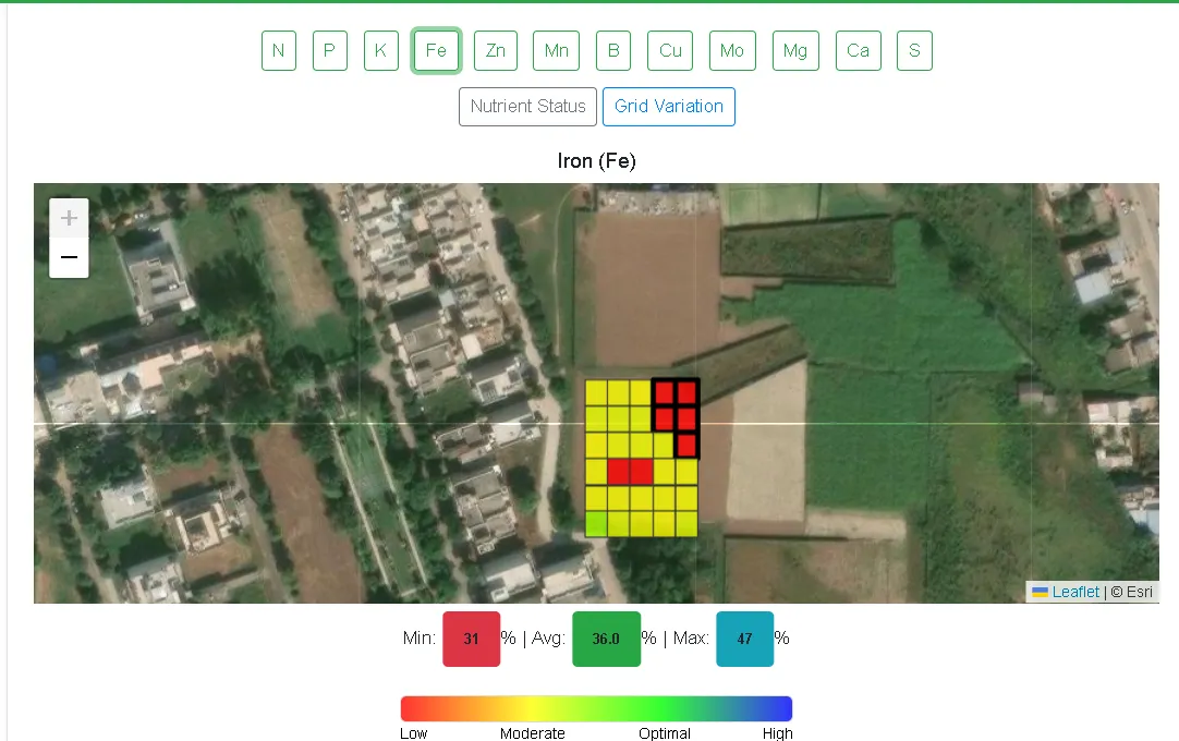 The Dhara Plus interface showing grid variation for iron across one field, drawn over satellite imagery. The field is divided into roughly forty cells; most are yellow, several in the upper right are red and outlined, and one is green. Minimum 31 per cent, average 36, maximum 47.