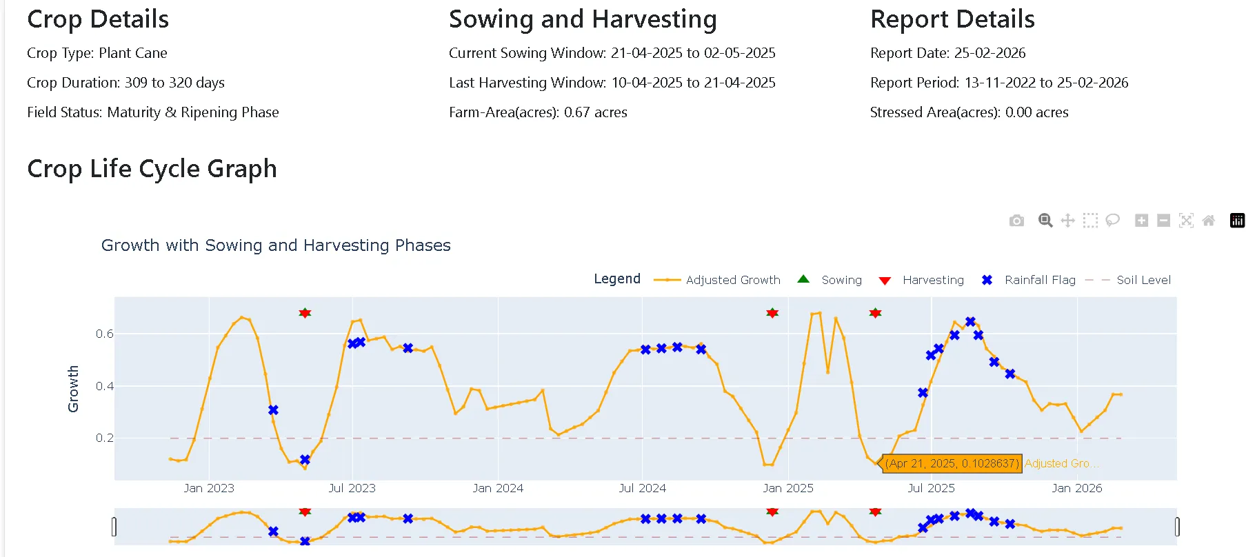 A Harcane crop report for a single plot. Crop details: plant cane, 309 to 320 days duration, field status maturity and ripening phase. Sowing and harvesting: current sowing window 21 April to 2 May 2025, last harvesting window 10 to 21 April 2025, farm area 0.67 acres. Report details: report date 25 February 2026, period 13 November 2022 to 25 February 2026, stressed area 0.00 acres. Below, a crop life cycle graph plots adjusted growth from late 2022 to early 2026, with sowing and harvesting markers, rainfall flags and a soil level baseline.