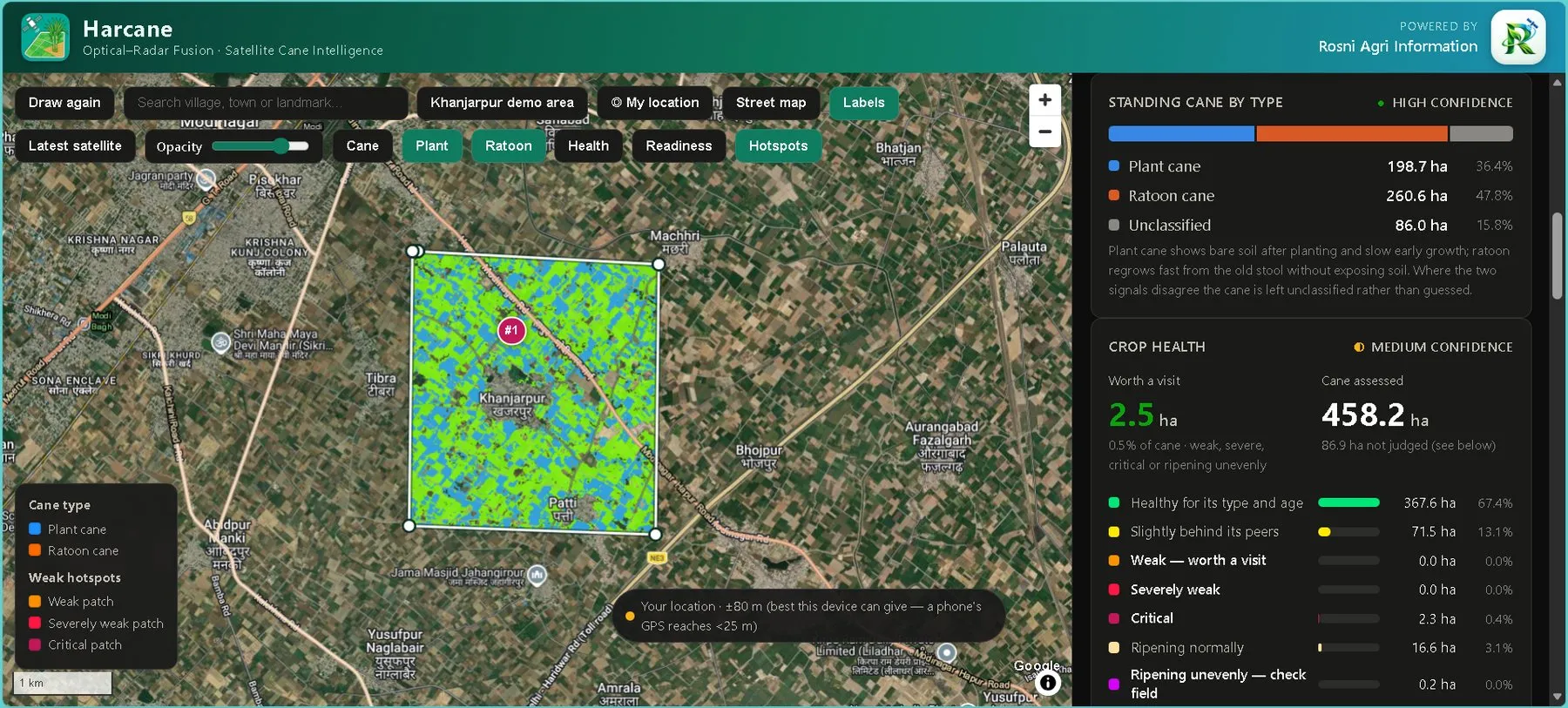 The same boundary shown as plant versus ratoon cane, in blue and orange over a Google satellite basemap. The panel reads high confidence: plant cane 198.7 ha, ratoon cane 260.6 ha, unclassified 86.0 ha.