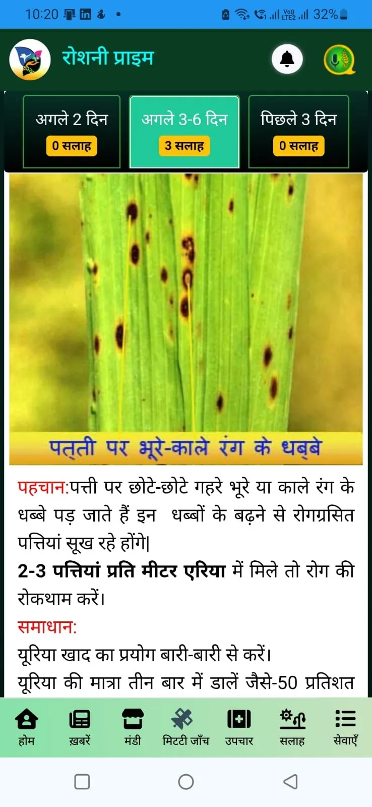 A Rosni Prime advisory screen in Hindi, headed रोशनी प्राइम, with tabs for the next two days, the next three to six days and the past three days. A card identifies a leaf-spot disease, with sections headed पहचान — identification — and समाधान — remedy. The bottom navigation reads होम, ख़बरें, मंडी, मिट्टी जाँच, उपचार, सलाह and सेवाएँ.